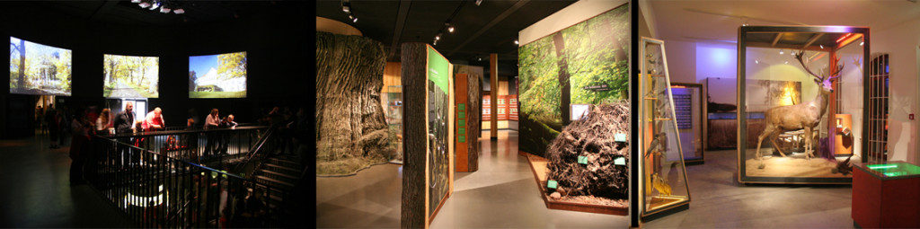 Müritzeum 3